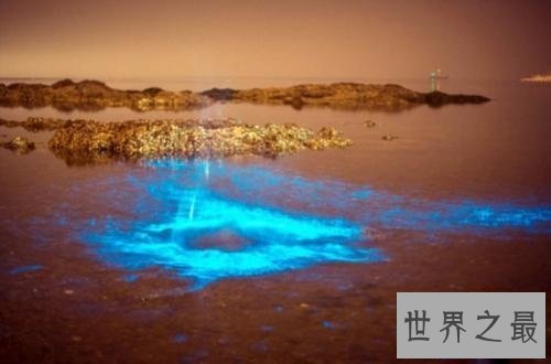 【图】浪漫游览的极佳之地大连荧光海滩