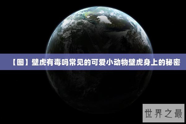【图】壁虎有毒吗常见的可爱小动物壁虎身上的秘密