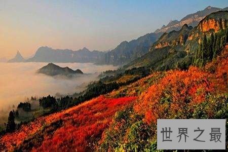【图】四小名山是哪四个 风景柔美至极的中央千万不能