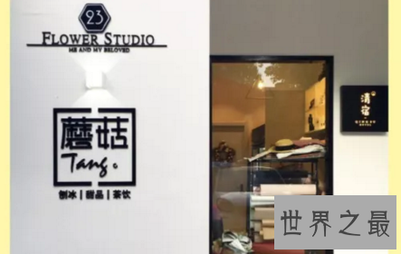 【图】不知道看到这里的有缘人有没有去过扬州旅行呢