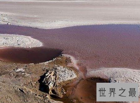 【图】中国最大淡水湖这里的水可是绝对不能喝的