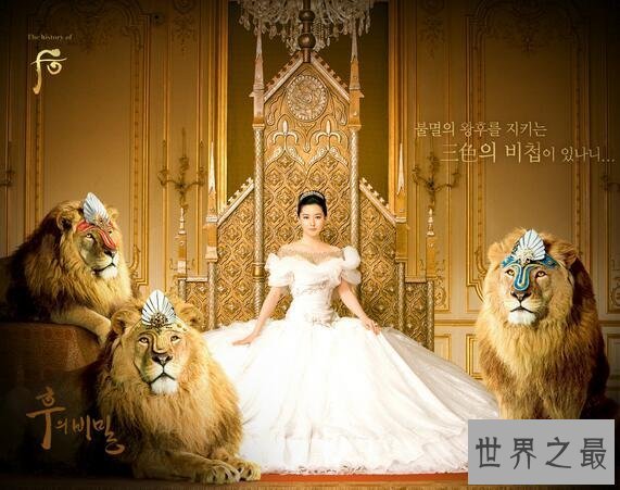 【图】韩国十大美女排行榜，天生丽质非整容的人造美