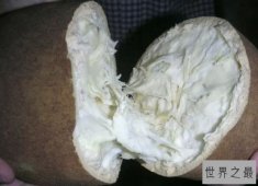 【图】世界上最稀有的十种水果 你可能都没有听说过！
