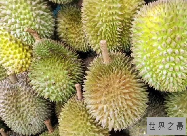 榴莲