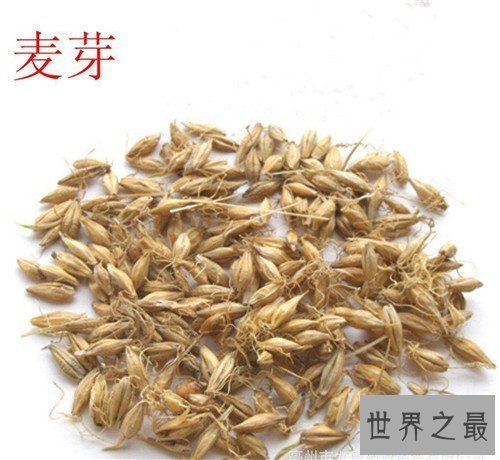 【图】炒麦芽的效用与作用 炒麦芽的忌讳和副作用引见