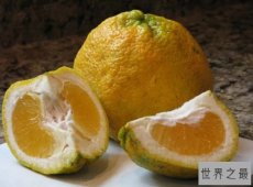 【图】世界上最好吃的十种水果 很多人都没见过这些水