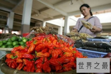 【图】涮涮辣真的辣到你不能自已 是全世界最辣的辣椒