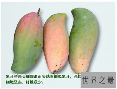 【图】海南芒果又大又好吃 而且还十分的便宜