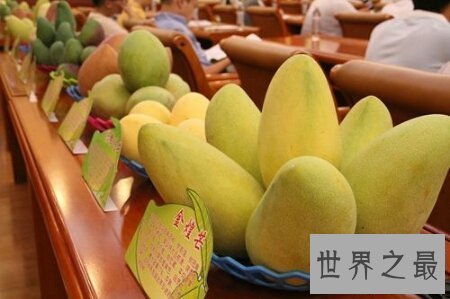 【图】海南芒果又大又好吃 而且还十分的便宜