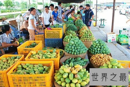 【图】海南芒果又大又好吃 而且还十分的便宜