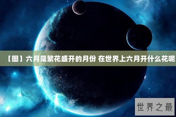 【图】六月是繁花盛开的月份 在世界上六月开什么花呢