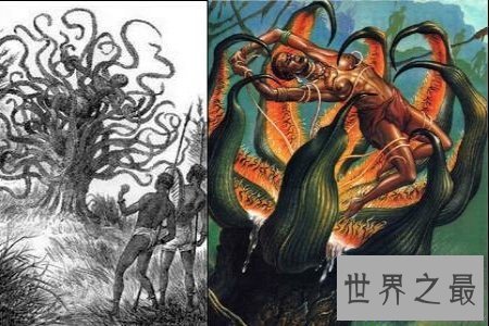 【图】奠柏真的可能吃人吗 对此网友议论纷纷