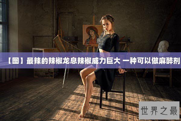 【图】最辣的辣椒龙息辣椒威力巨大 一种可以做麻醉剂