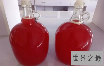 【图】看到多喝果酒原来有这么多益处眼睛都直了