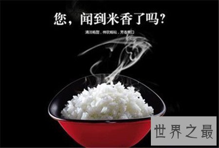 【图】五常大米 中国人都爱吃的大米品牌