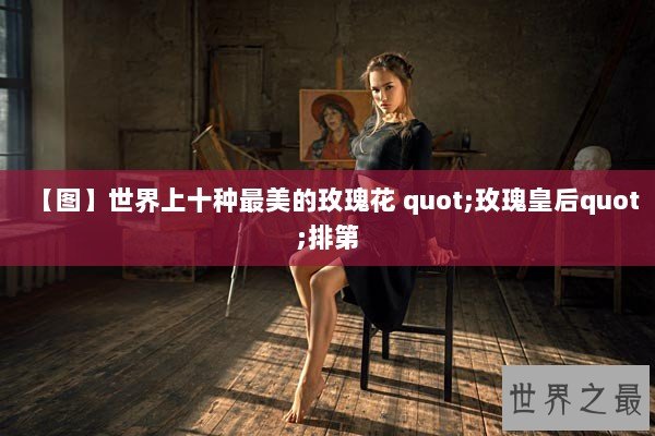 【图】世界上十种最美的玫瑰花 quot;玫瑰皇后quot;排第