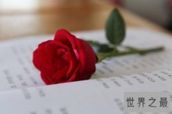 【图】有哪些玫瑰花语深入人心 直男癌快来学些送给女