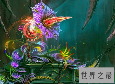【图】尸香魔芋花这个所谓魔芋可不能吃分发尸臭
