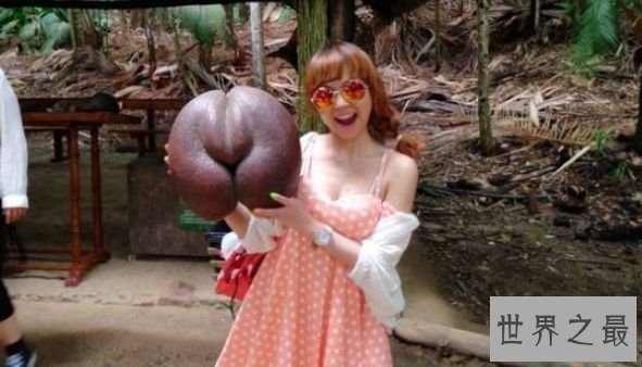 世界上最大的果子 圣经中的禁果真的存在