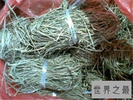 【图】五叶神香烟伤身材 而五叶神药草却滋补身材