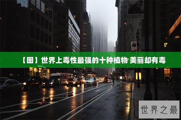 【图】世界上毒性最强的十种植物 美丽却有毒