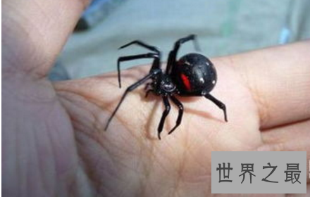 【图】这世界这是怎样了 吃人植物都能吃人了啊啊