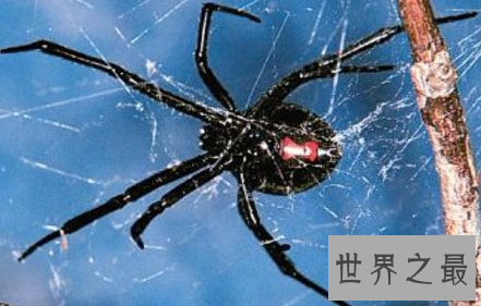 【图】这世界这是怎样了 吃人植物都能吃人了啊啊