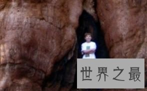 ”同温层伟人“ 113.11米