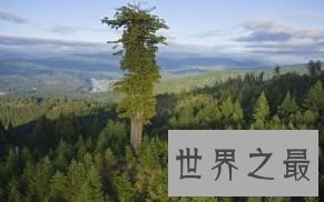 “悖论” 112.56米