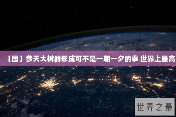 【图】参天大树的形成可不是一朝一夕的事 世界上最高