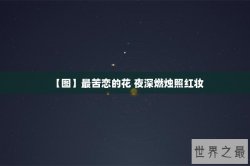 【图】最苦恋的花 夜深燃烛照红妆