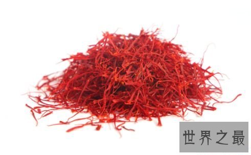 【图】世界上最贵的花 最美“昙花”无价