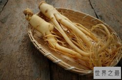 【图】十种最佳减肥草药 这些草药原来有这么好的效果
