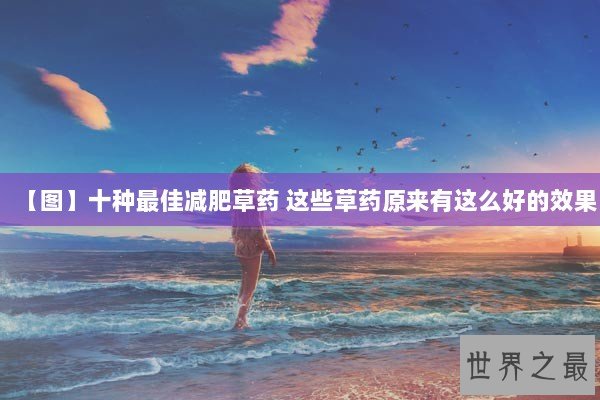 【图】十种最佳减肥草药 这些草药原来有这么好的效果
