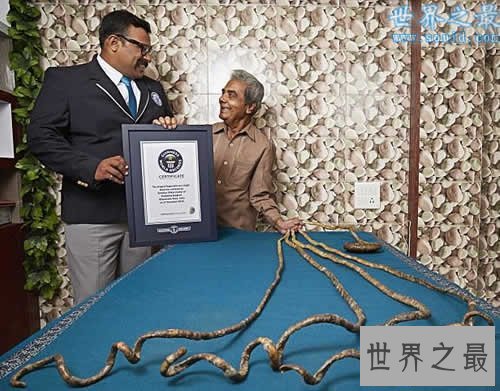 【图】世界上最长的指甲，指甲最长的人(长9.09米)