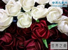 【图】世界上最感人的故事，六个感人的小故事(看完别