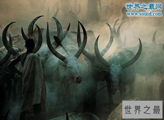 【图】世界上最黑的人，丁卡人(奥秘的非洲部落)