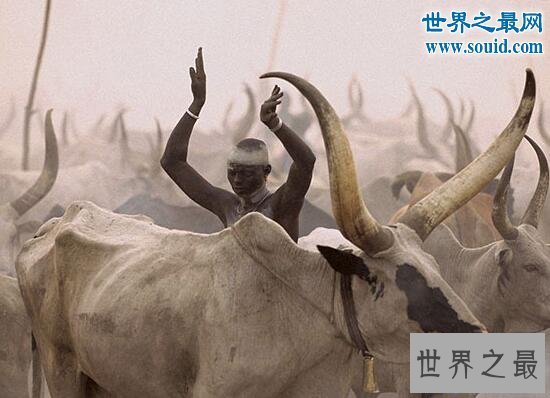 【图】世界上最黑的人，丁卡人(奥秘的非洲部落)