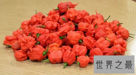 【图】卡罗莱纳死神辣椒有多辣 勇敢者的食品
