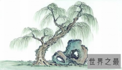 【图】世界上最忧愁的树 执手相看泪眼竟无语凝噎