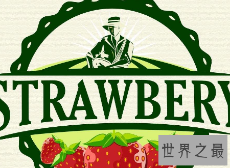 【图】草莓英文在国外人们居然这样称呼他