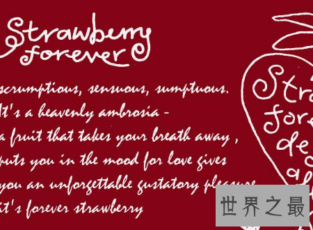 【图】草莓英文在国外人们居然这样称呼他