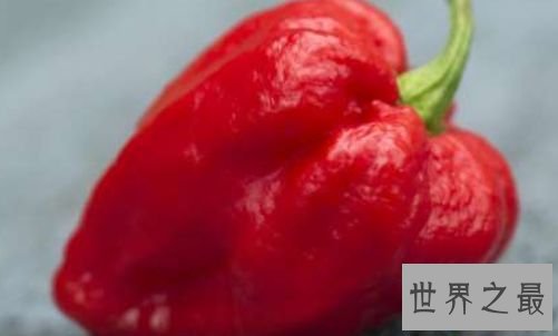 卡罗莱纳的收割者辣椒