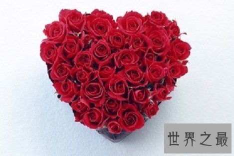 【图】世界上最美的花你最喜欢哪一个呢