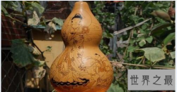 【图】世界上最神秘的植物 轻轻松松念句咒语便可斩仙