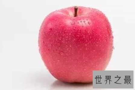 【图】世界一号苹果不是最大也不是最好吃而是最贵
