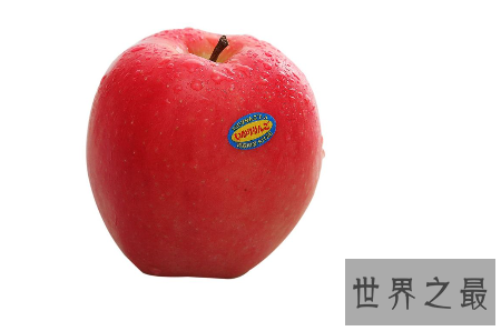 【图】世界一号苹果不是最大也不是最好吃而是最贵