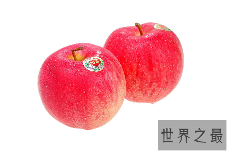 【图】世界一号苹果不是最大也不是最好吃而是最贵