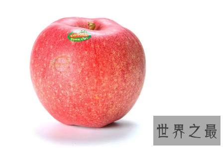 【图】世界一号苹果不是最大也不是最好吃而是最贵