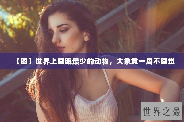 【图】世界上睡眠最少的动物，大象竟一周不睡觉